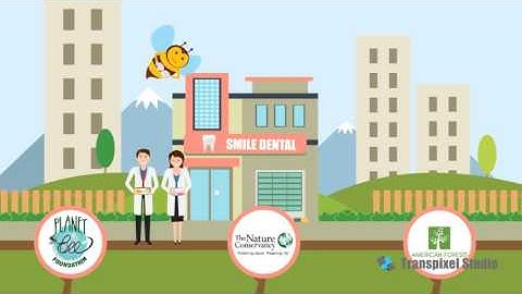 Beesure | Environment friendly products