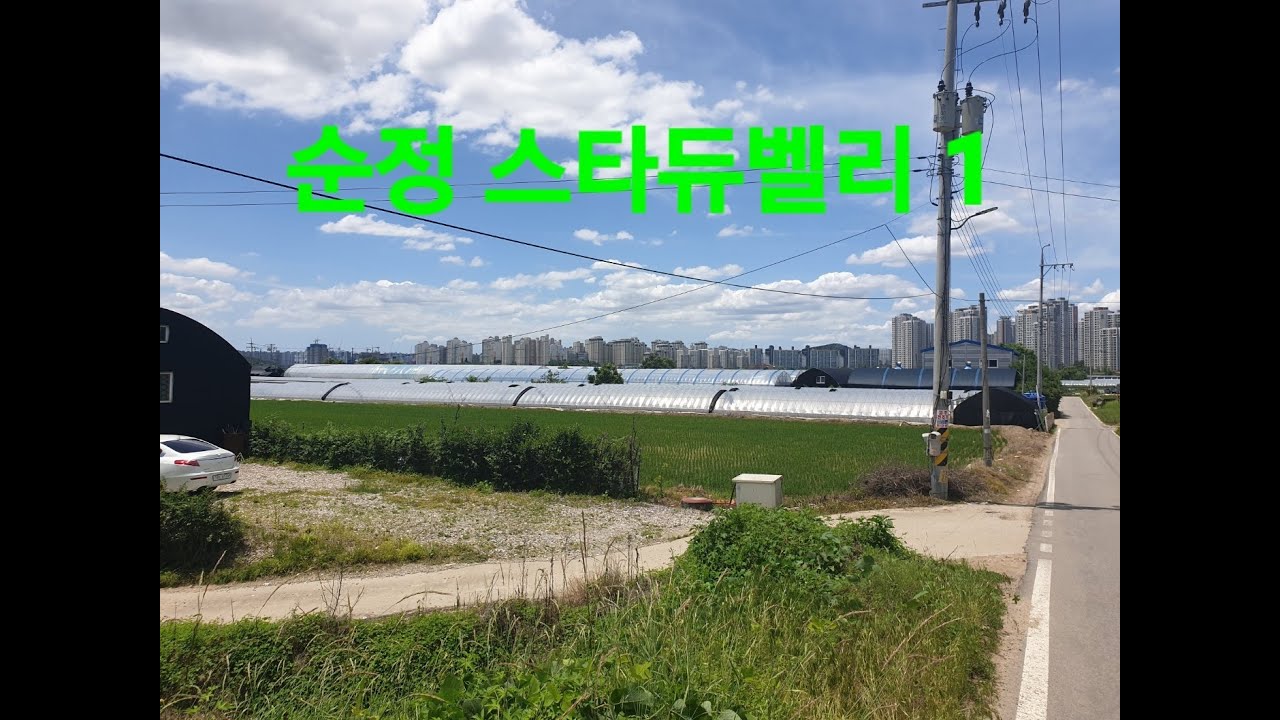 순정 스타듀벨리1