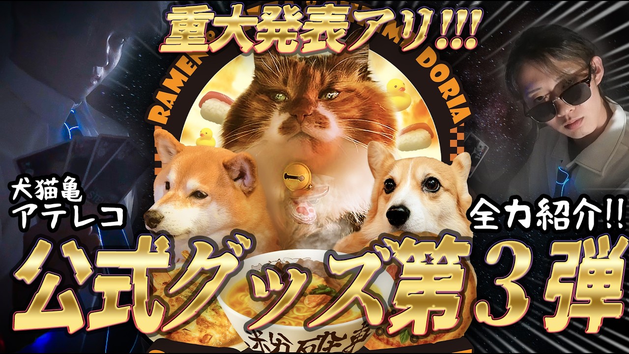 Thorough Merchandise Introduction] Ramen!! Pizza!! Shrimp Doria 