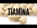 14. TIAMINA (NUTRICIÓN ORTOMOLECULAR)