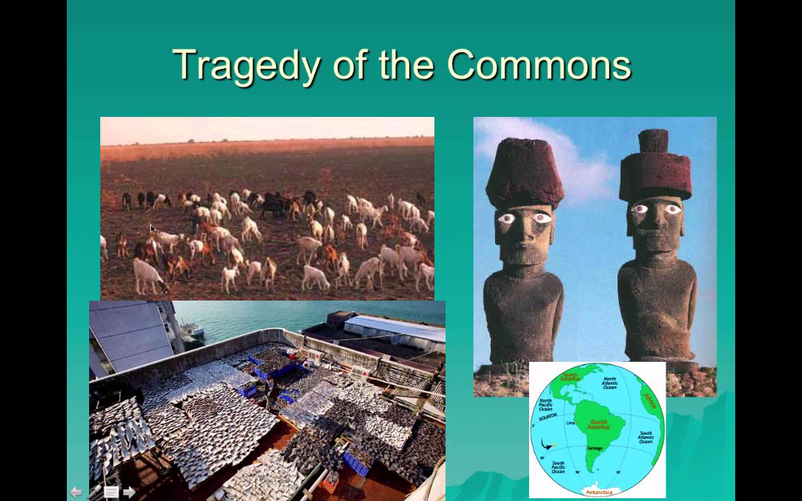 Apes chapter 1 2015 youtube