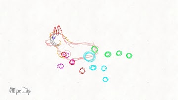 Wolf run test (animation wip)