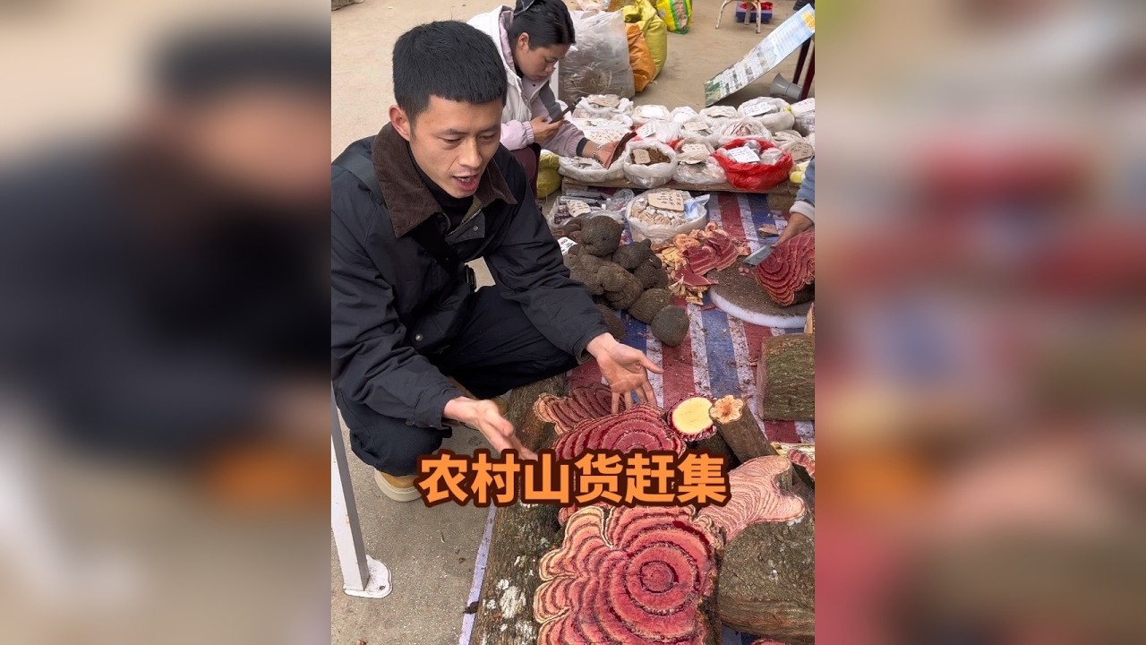 世间无杂草，认识全是宝，想要淘到好山货可得来这样的山货集市逛一逛了，有喜欢这样赶集的朋友吗