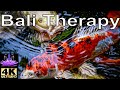 The lost photographer  bali koi pond with root chakra music  sleep  meditation  isolation 2020