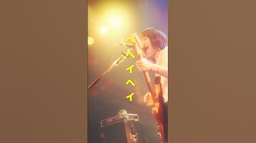 ネクライトーキーLIVE「オシャレ大作戦」