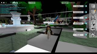 If U Go To Brookhaven It Dosent Glich But Why??