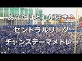 【歌詞付き】セントラルリーグ チャンステーマ メドレー 2019