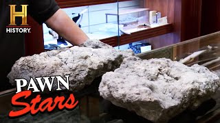 Pawn Stars: "One Dinosaur