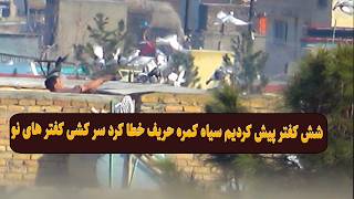 0446- شش کفتر پیش کردیم سیاه کمره حریف خطا کرد سرکشی کفتر های نو