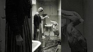 Rare historical photos that tell untold stories 😱🤔 #rarephotos  #shorts #scary