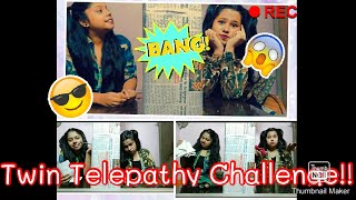 |TWIN TELEPATHY CHALLENGE| Marathi Vlog For The First Time|