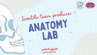 Anatomy lab 1+2+3