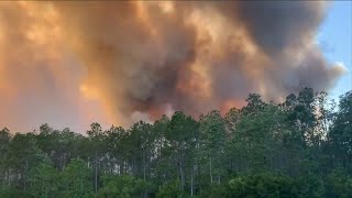 The Santa Rosa Five Mile Swamp Fire
