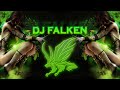 DJ Falken Party Mix (Mixtape 5)