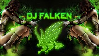 DJ Falken Party Mix (Mixtape 5)