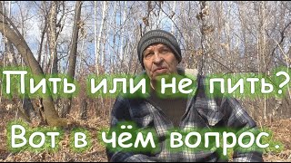 Пить или не пить? Вот в чём вопрос.