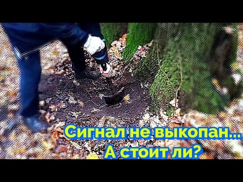 Семейный копоотдых в