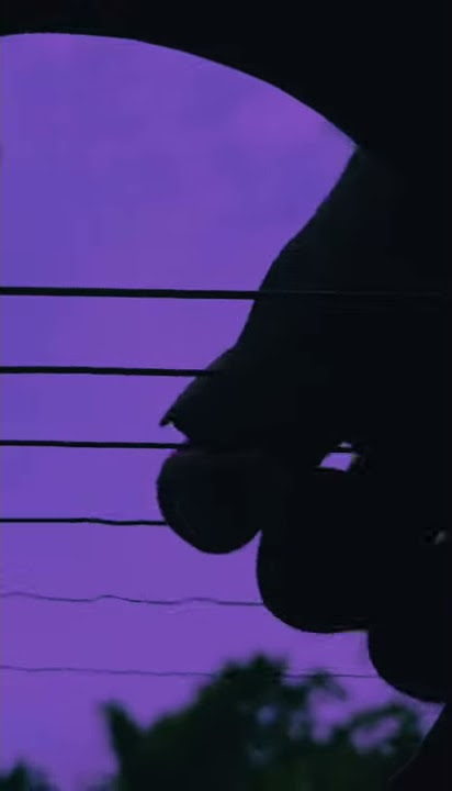 Way back home -SHAUN//Conor maynard《 guitar fingerstyle cover 》