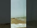 OMG Aden Yemen Cow Swimming Fyp Viral Mogeeb Ali 