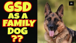 German shepherd as a family dog in Hindi | Best family dog series | Petsinfomania by PetsInfomania (PI) 3,941 views 1 year ago 3 minutes, 26 seconds