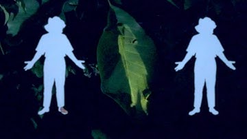 John Moods - Meet Me In My Dreams (Official Video)