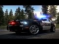 Need For Speed Hot Pursuit Dark Horse 