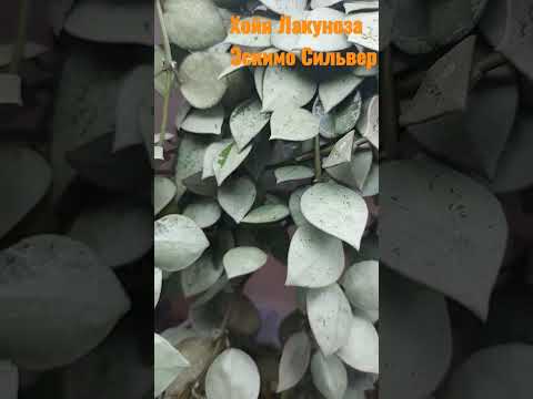 Первое и такое
