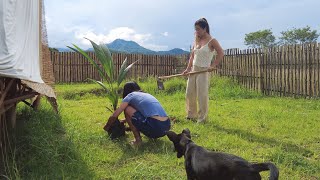 EP.15 The best & worst season in Thailand- raining season is here 雨季终于来了