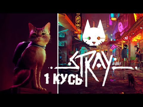 Котеек много не бывает ► 1 Прохождение Stray