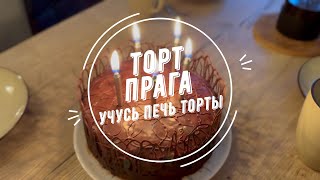 Торт ПРАГА ? / Учусь печь торты / проверка рецепта