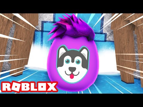 Hunting The Alex Egg Roblox Egg Hunt 2018 Youtube - hunting the alex egg roblox egg hunt 2018 solobengamer