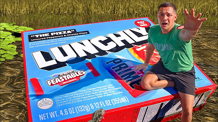I Survived 24 Hours on a Giant Lunchly
