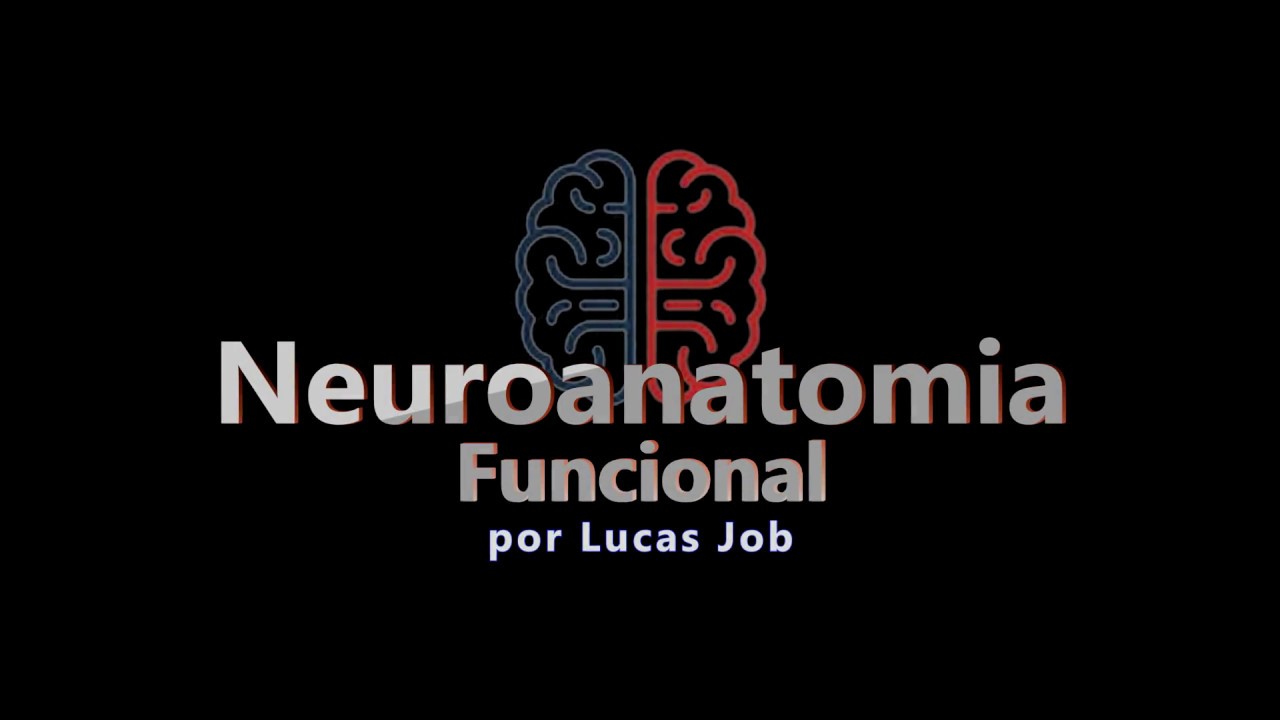 Propriedades do Protoplasma - Cap 01 Neuroanatomia Funcional