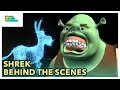The Behind-the-Scenes Secrets of Shrek! - Bonus Feature Spotlight