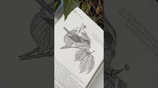 An illustrated journey into The Hidden Company that Trees Keep #Shorts