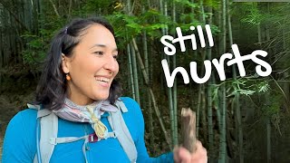 Kumano Kodo Pilgrimage  Pain & Laughter (day 2)