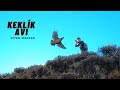 KINALI KEKLİK AVI🔥MUHTEŞEM AV SAHNELERİ🔥Partridge hunt🔥İNGİLİZ POİNTER AV KÖPEĞİ İLE 2 GÜNLÜK AVIMIZ