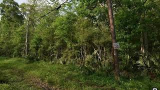 Full Lot 10 Shady Lane Update