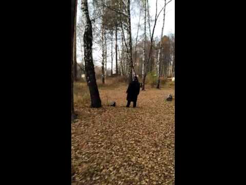 Странный мужик поет в лесу Странный мужик поет в лесу