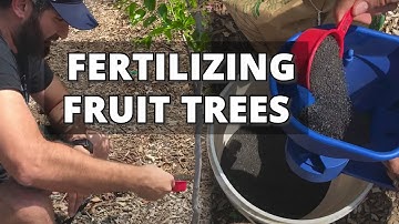 How and When to Fertilize Fruit Trees - Back Yard Orchard