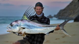 Double Giant Roosters From The Beach