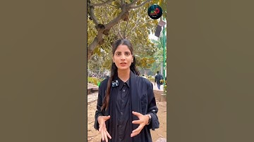 Online classes for Jamia,AMU,JNU,DU,MANUU and CUET Entrance Exam Preparation 2025-2