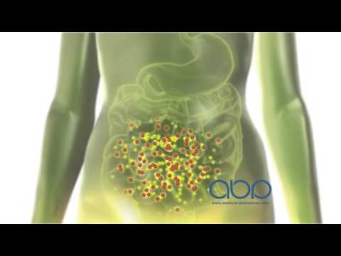 Stomach Acids - YouTube