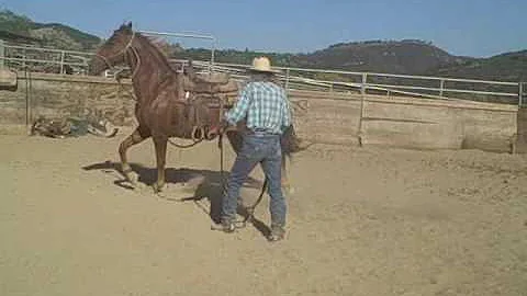 Working with the spoiled horse,David Lee Archer