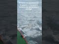 Титаник на минималках: по дороге с Северного полюса мы врезались в айсберг