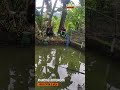 mancing borong kolam ikan patin  #sobomancingadventure  #fishing  #mancing