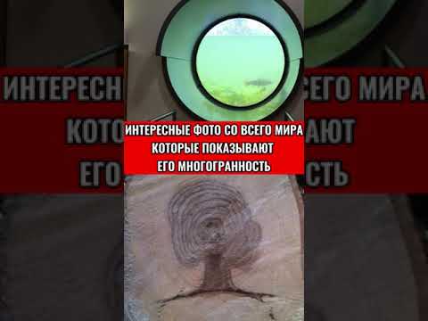 ИНТЕРЕСНЫЕ ФОТО СО ВСЕГО МИРА КОТОРЫЕ ПОКАЗЫВАЮТ ЕГО МНОГОГРАННОСТЬ