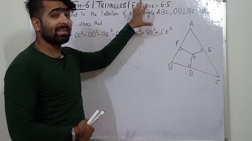 Q-8 | EX-6.5 | TRIANGLES | CLASS-10TH (CBSE, NCERT) CHAPTER-6 |