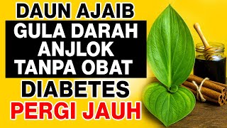 Download Lagu VIRAL! Gula Darah 380 Turun Drastis, Dokter Sampai Tercengang! Ternyata Ini Rahasianya MP3