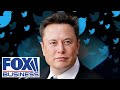 'Lefty crazies' are going to get 'whooped' by Elon Musk: Kudlow